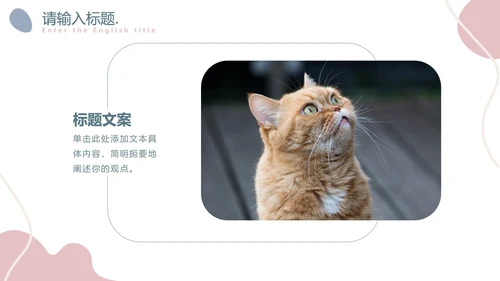 简约莫兰迪小清新PPT模板