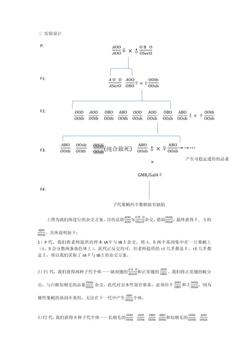 转基因果蝇实验—崔丽嘉.docx