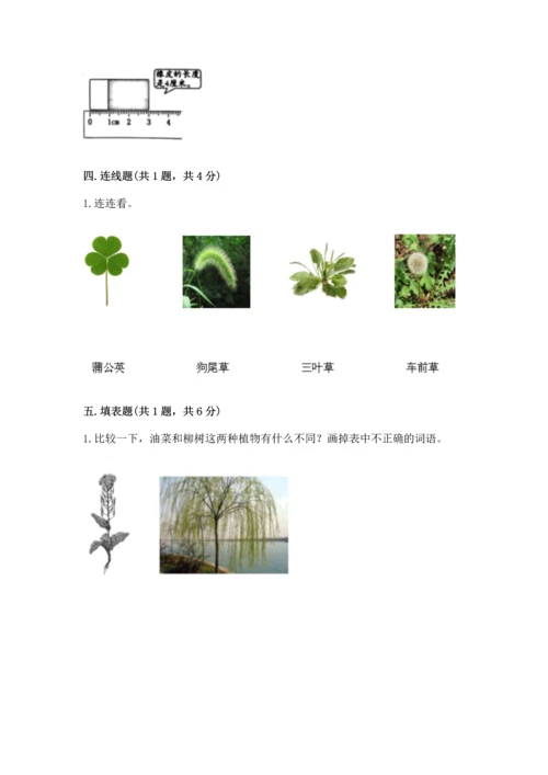 教科版一年级上册科学期末测试卷【基础题】.docx