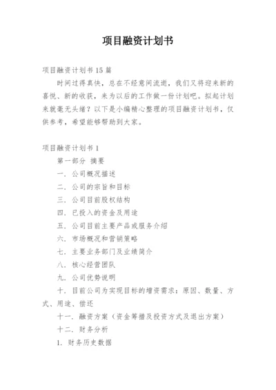 项目融资计划书.docx