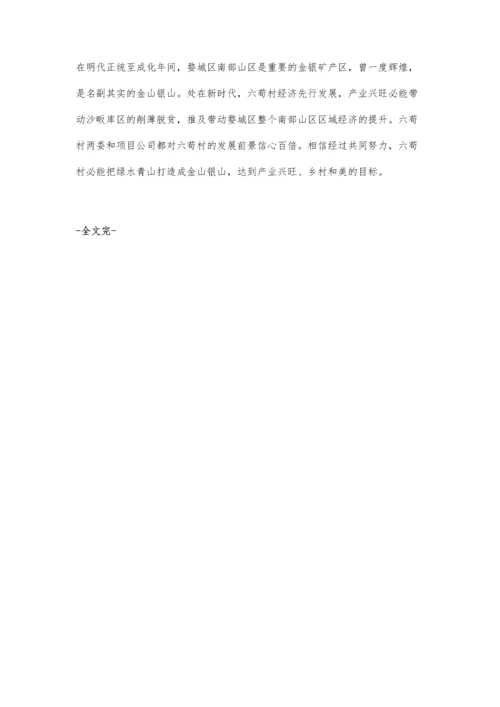 从一个乡村的发展谈如何打造和美乡村.docx