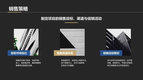 黑色商务风房地产项目启动汇报PPT模板