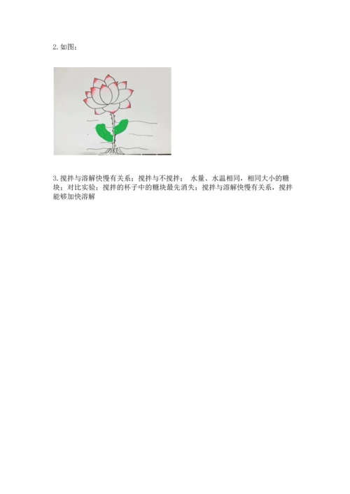 教科版科学一年级上册第一单元《植物》测试卷附完整答案【典优】.docx