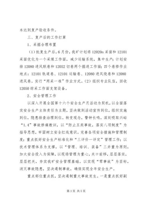 复产验收汇报材料 (2).docx