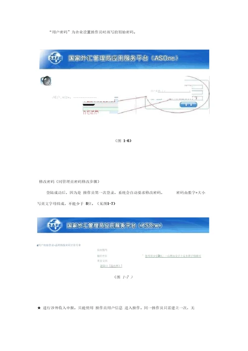 国际收支网上申报系统企业版基本操作说明