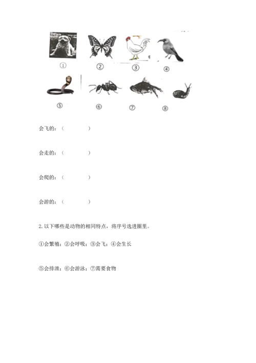 教科版一年级下册科学期末测试卷附参考答案（基础题）.docx