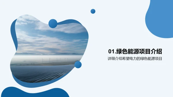 绿动未来：电力项目策划