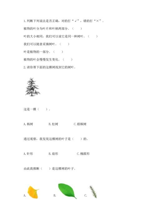 教科版科学一年级上册第一单元《植物》测试卷附答案【达标题】.docx