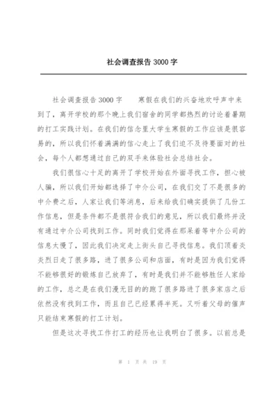 社会调查报告3000字.docx