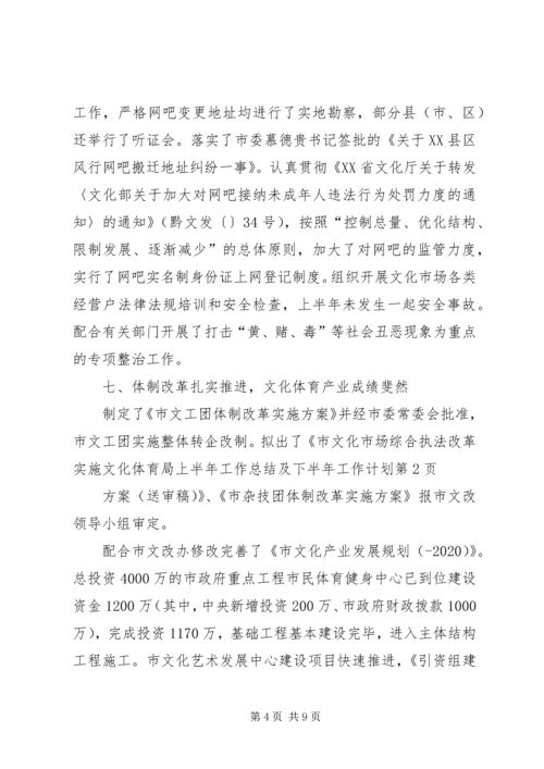 文化体育局上半年工作总结及下半年工作计划.docx