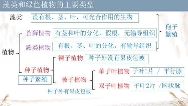 人教版七上2024第二单元复习课件(共20张PPT)