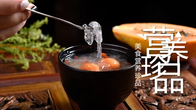 美食营养滋补品燕窝银耳PPT模板