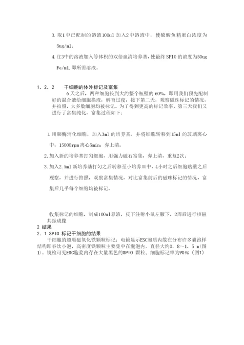 干细胞标记论文.docx