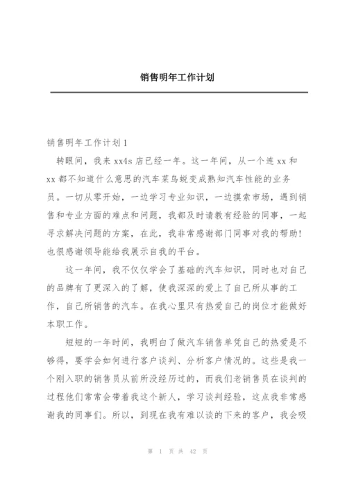 销售明年工作计划.docx