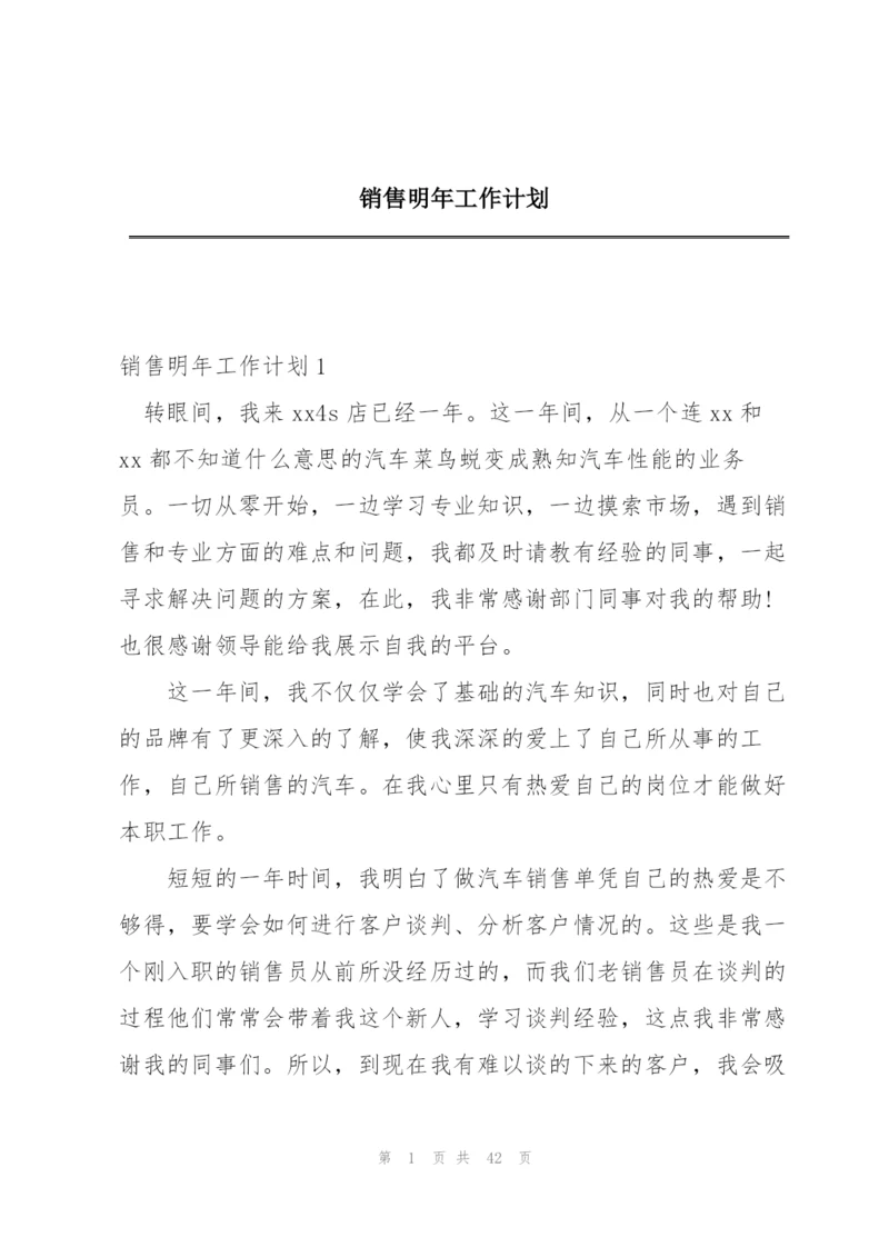 销售明年工作计划.docx