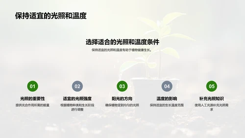 植物成长之旅