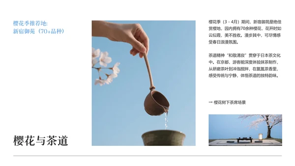 现代简约高级日本旅游攻略PPT模板