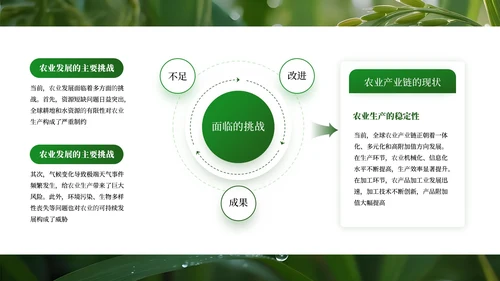 绿色商务农业发展通用PPT模板