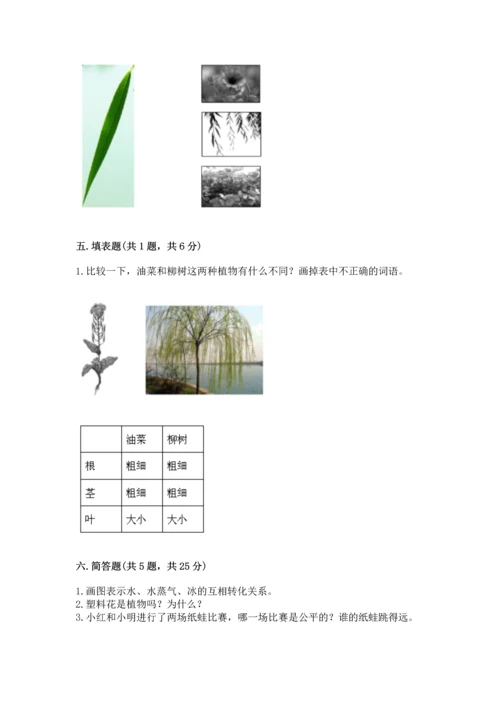 教科版一年级上册科学期末测试卷【历年真题】.docx