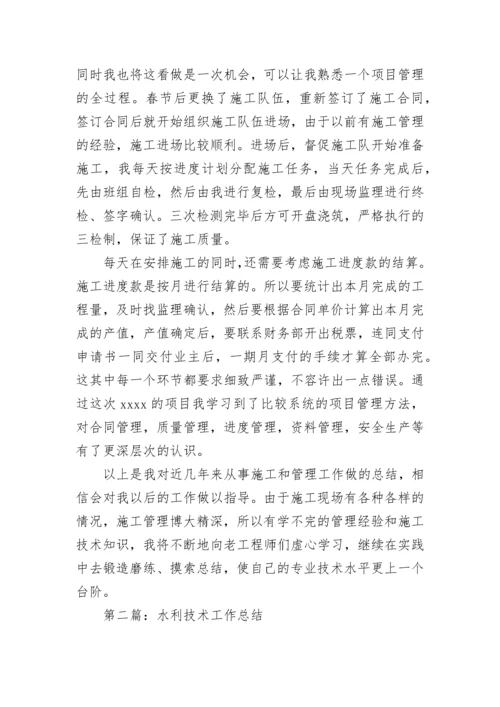 水利职称技术工作总结(精选多篇).docx