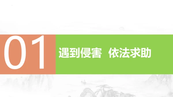 5.3 善用法律 课件(共28张PPT)