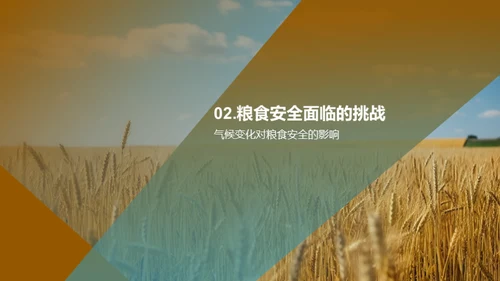 全球粮食安全解析
