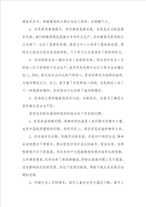 2021年寒假三下乡实践汇报：我家乡