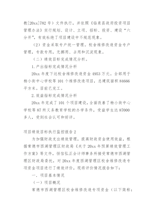 项目绩效目标执行监控报告.docx