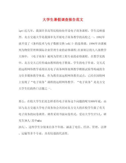 精编大学生暑假调查报告范文.docx