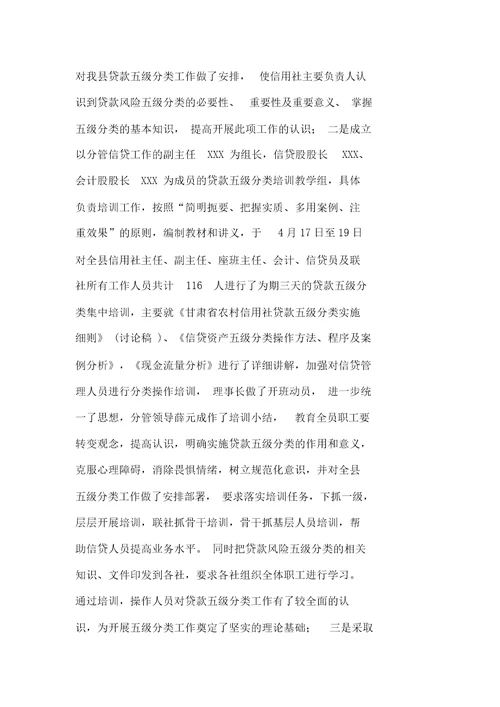 贷款风险五级分类总结报告