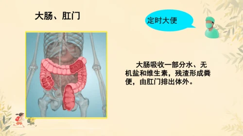 初中生物学人教版（新课程标准）七年级下册第4.2.2 消化和吸收课件(共21张PPT)