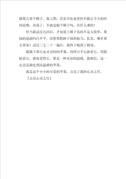 点亮心灵之灯作文700字