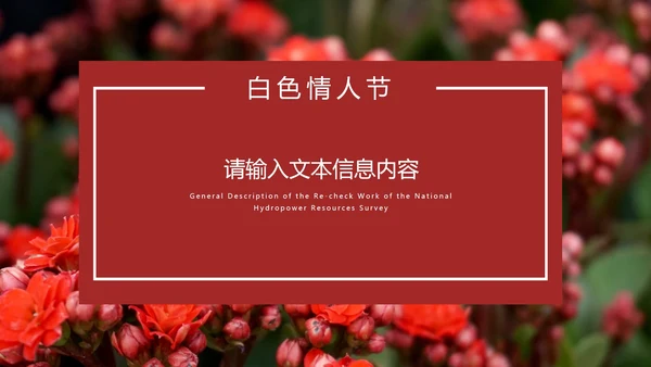 粉色优雅花卉白色情人节PPT模板