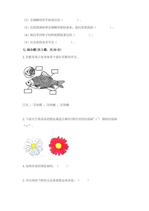 教科版一年级下册科学期末测试卷精品（达标题）.docx