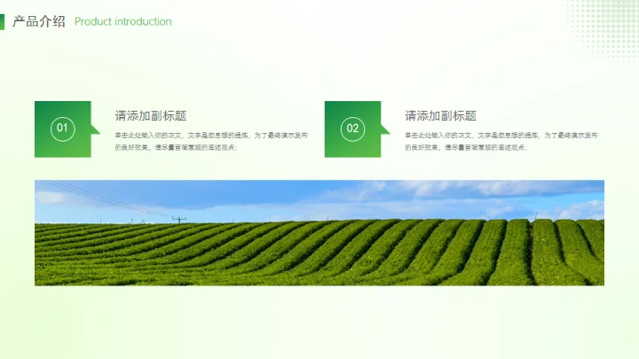 乡村振兴农产品介绍通用PPT模板