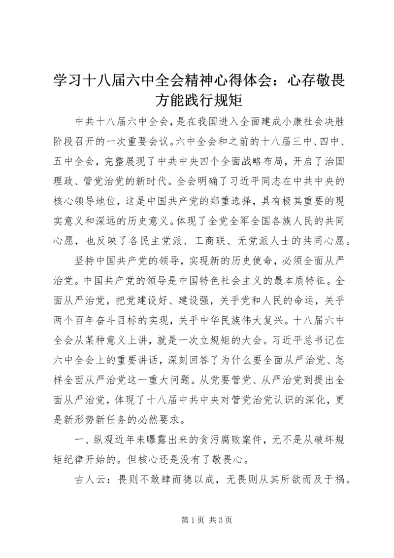 学习十八届六中全会精神心得体会：心存敬畏方能践行规矩.docx