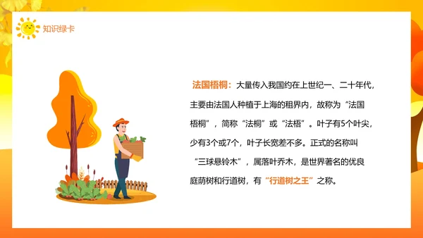 铺满金色巴掌的水泥道语文PPT课件