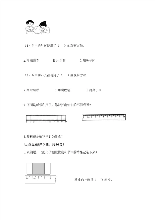 教科版科学一年级上册期末测试卷附参考答案培优a卷