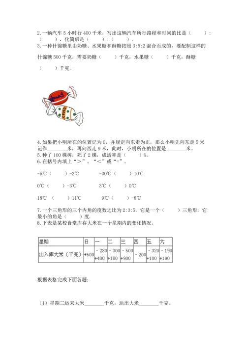 北师大版六年级下册数学期末测试卷【典优】.docx