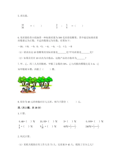 洛阳市小学数学小升初试卷含答案（综合卷）.docx