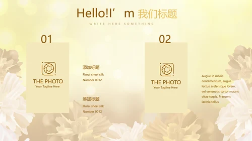 金色唯美医美整形发布会工作总结汇报动态PPT模板