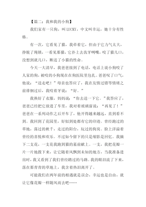我和某某作文400字.docx