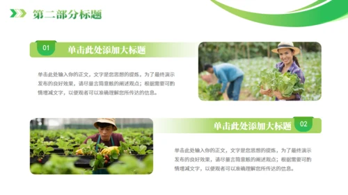 全面推进乡村振兴通用PPT