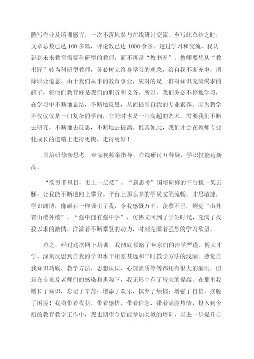 国培研修个人工作总结范文.docx