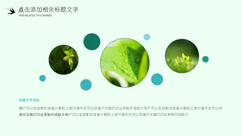 清明节气清新绿色清明节踏青PPT模板
