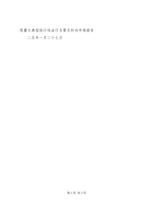 市统计局工作计划.docx