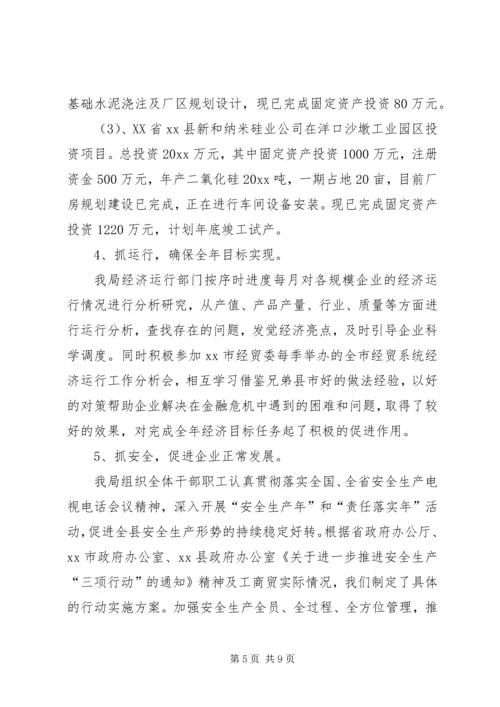 经贸局工作总结及工作计划.docx