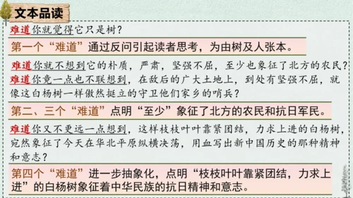15 白杨礼赞 课件