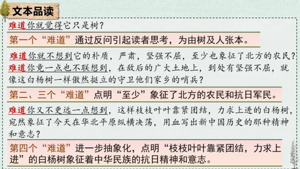 15 白杨礼赞 课件