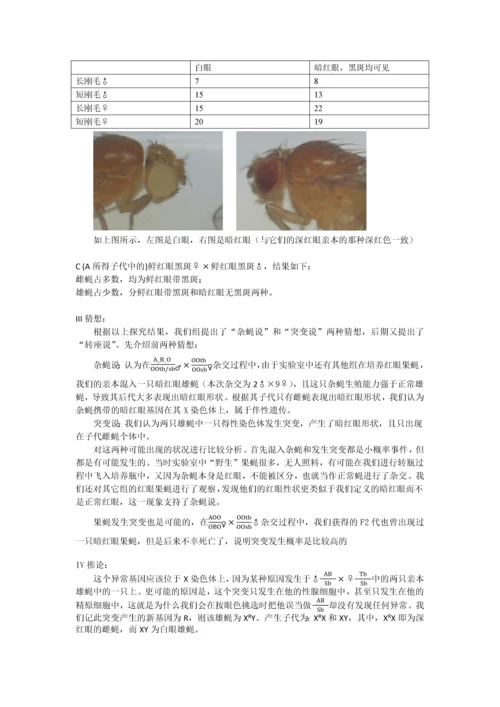 转基因果蝇实验—崔丽嘉.docx